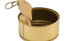 Guide to Natural Cats