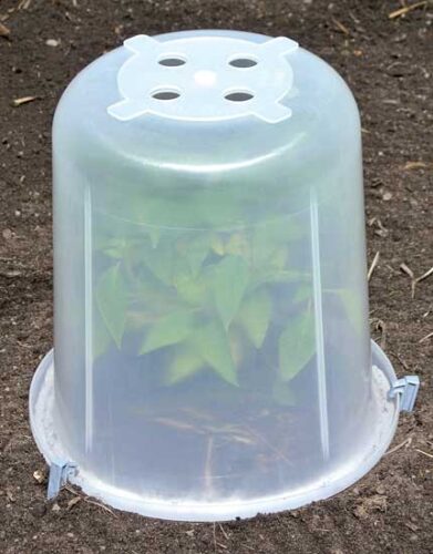 Mercantile October/November 2017