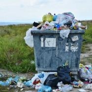 Food Loss and Waste Statistics and Solutions