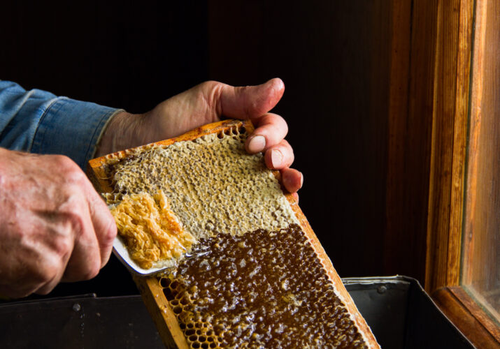 Economical Honey Extraction Methods