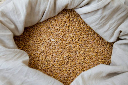 What is Heirloom Wheat? Image