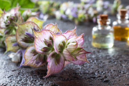 How To Make Perfume from Flowers and Herbs from Your Garden Image