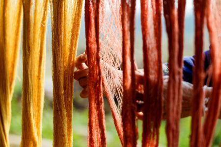 Grow Your Own Color: Best Plants For Natural Dyes Image