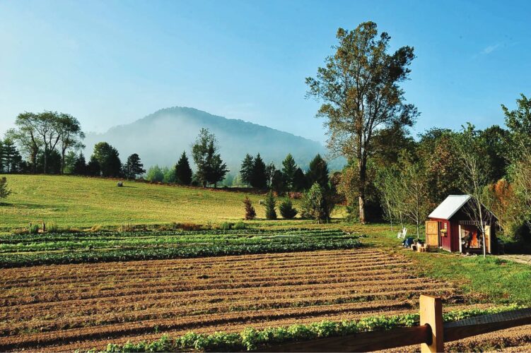 Advantages of Mechanical Weed Control Equipment for Small Farms