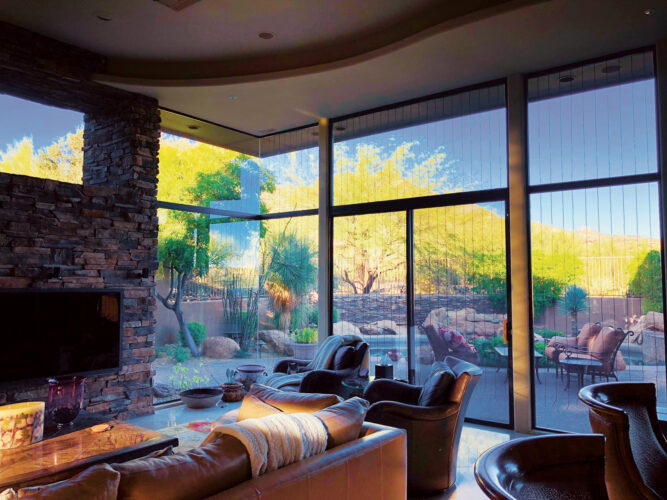 Can Birds See Glass?