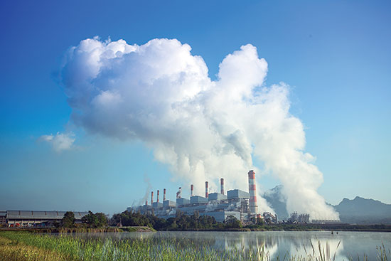 The Carbon Market’s Role in Combating Climate Change