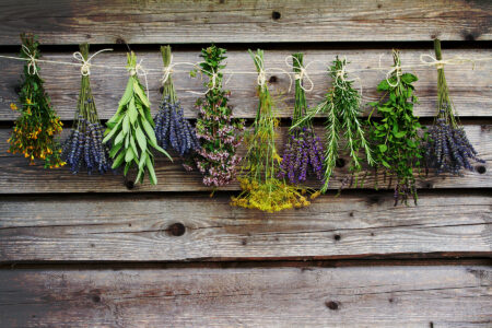 Colorful Herb Garden Plans Image