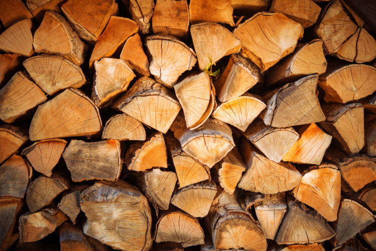 What It's Like Cutting Firewood in National Forests