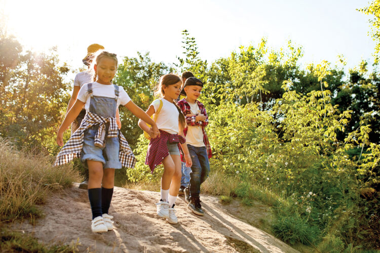 Environment Activities for Kindergarten