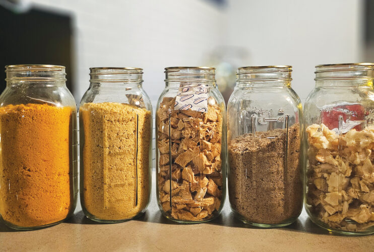 How to Freeze Dry Food at Home