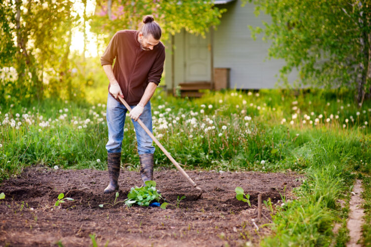 How to Select Garden Hoes for Gardening Tasks Image