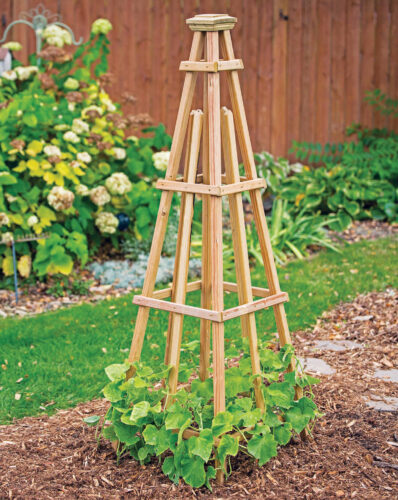 Garden Obelisk Plans