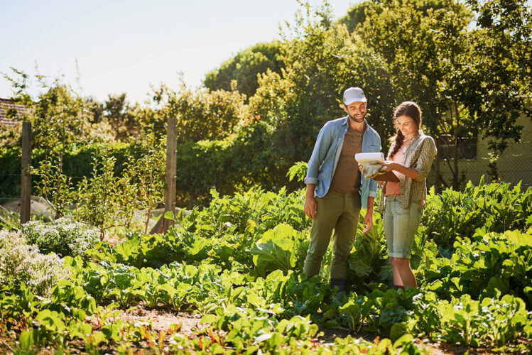 How to Plan a Bigger, Better Vegetable Garden Image