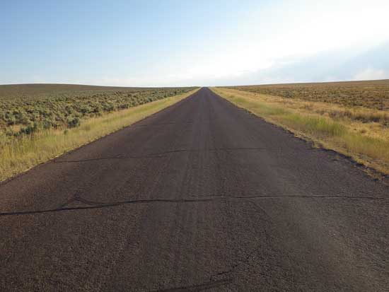 Growing Perennial Wheat on Highway Shoulders