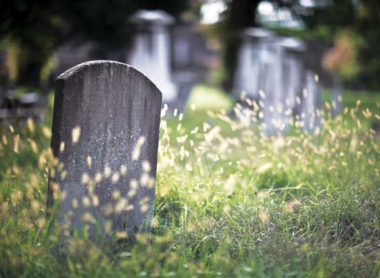 How to Plan an Eco Backyard Burial