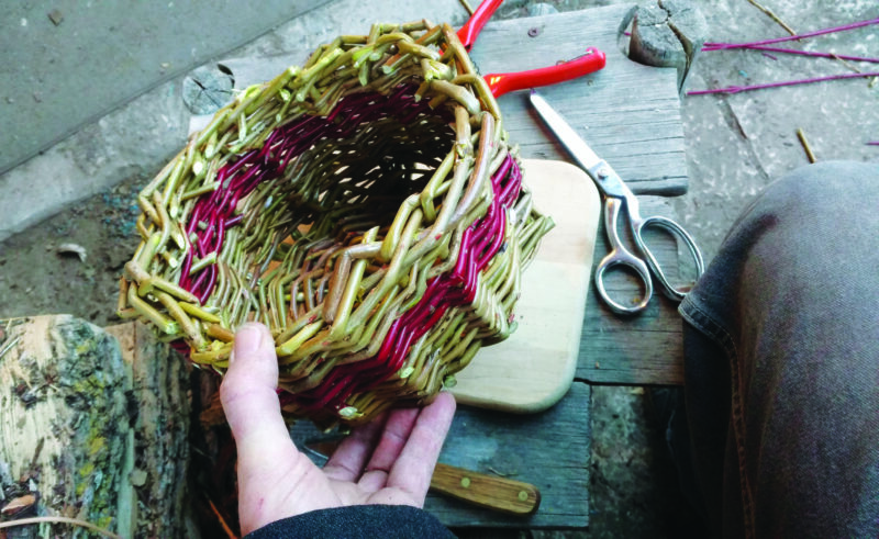 How to Weave a Basket for Beginners
