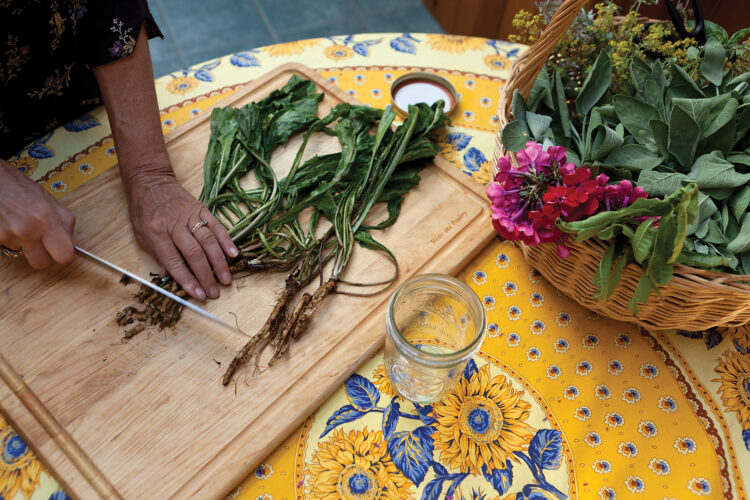 Homemade Herbal Medicines and Their Uses with Pictures