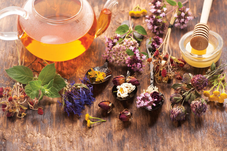 Herbs and Their Medicinal Uses to Remedy Winter Blues