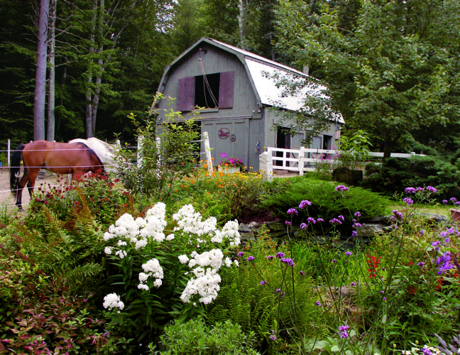 How to Make Your Farm Friendly for Wildlife