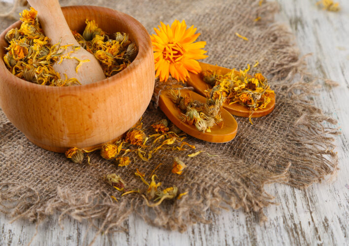 Calendula Flower Benefits: Growing and Using Multipurpose Calendula
