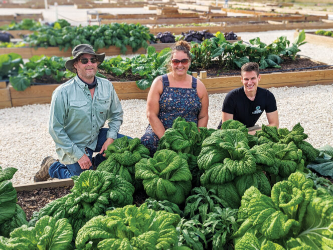 Raised Bed Garden Layout and Soil Layers