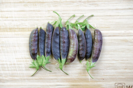 Sourcing Open Pollinated Vs Heirloom Seeds Image