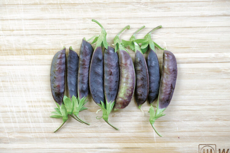 Sourcing Open Pollinated Vs Heirloom Seeds Image