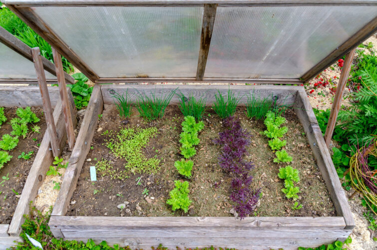 How to Make a Simple Cold Frame