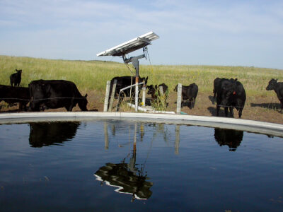 Solar Livestock Water Pumps Image