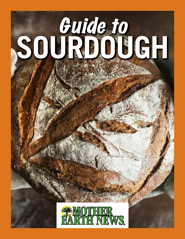 Guide to Sourdough