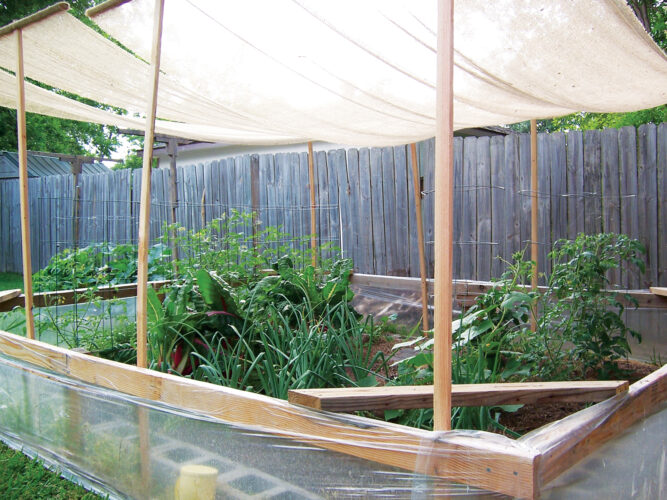 Southern States Gardening Organically