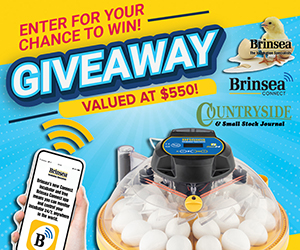 Brinsea - Maxi 24 Incubator Giveaway