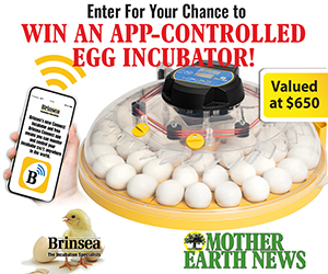 Brinsea - Maxi 48 Incubator Giveaway