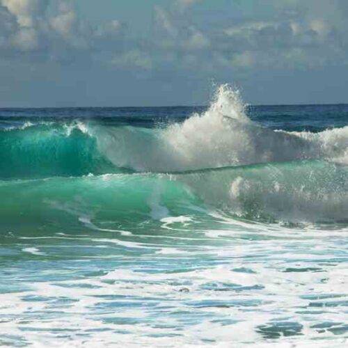 The Future of Wave Energy