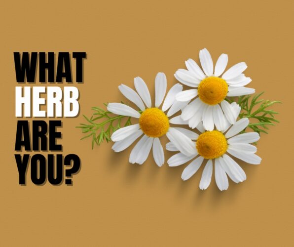 Quiz: What Herb Are You?