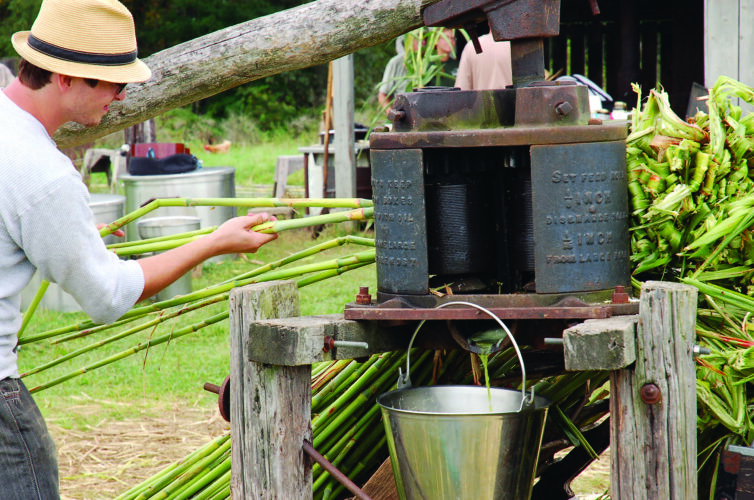 What is Sorghum Used for? Making Sorghum Syrup