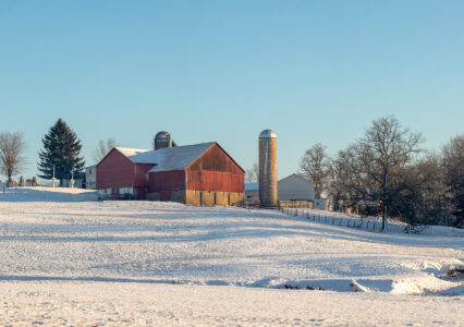 Winter Homesteading on Chilly Days Image