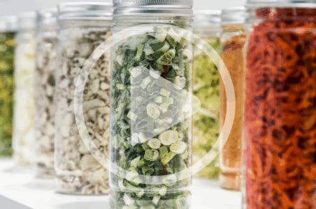 How to Freeze Dry Food at Home Image