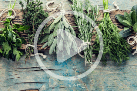 Herbs for Every Season Image