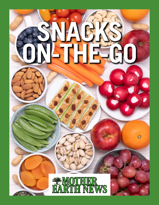 Snacks On-the-Go