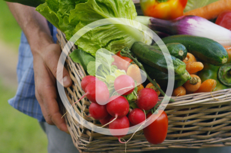 Exploring Microfarms with Jean-Martin Fortier Image