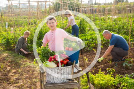 Your Path to Self-Reliance Image